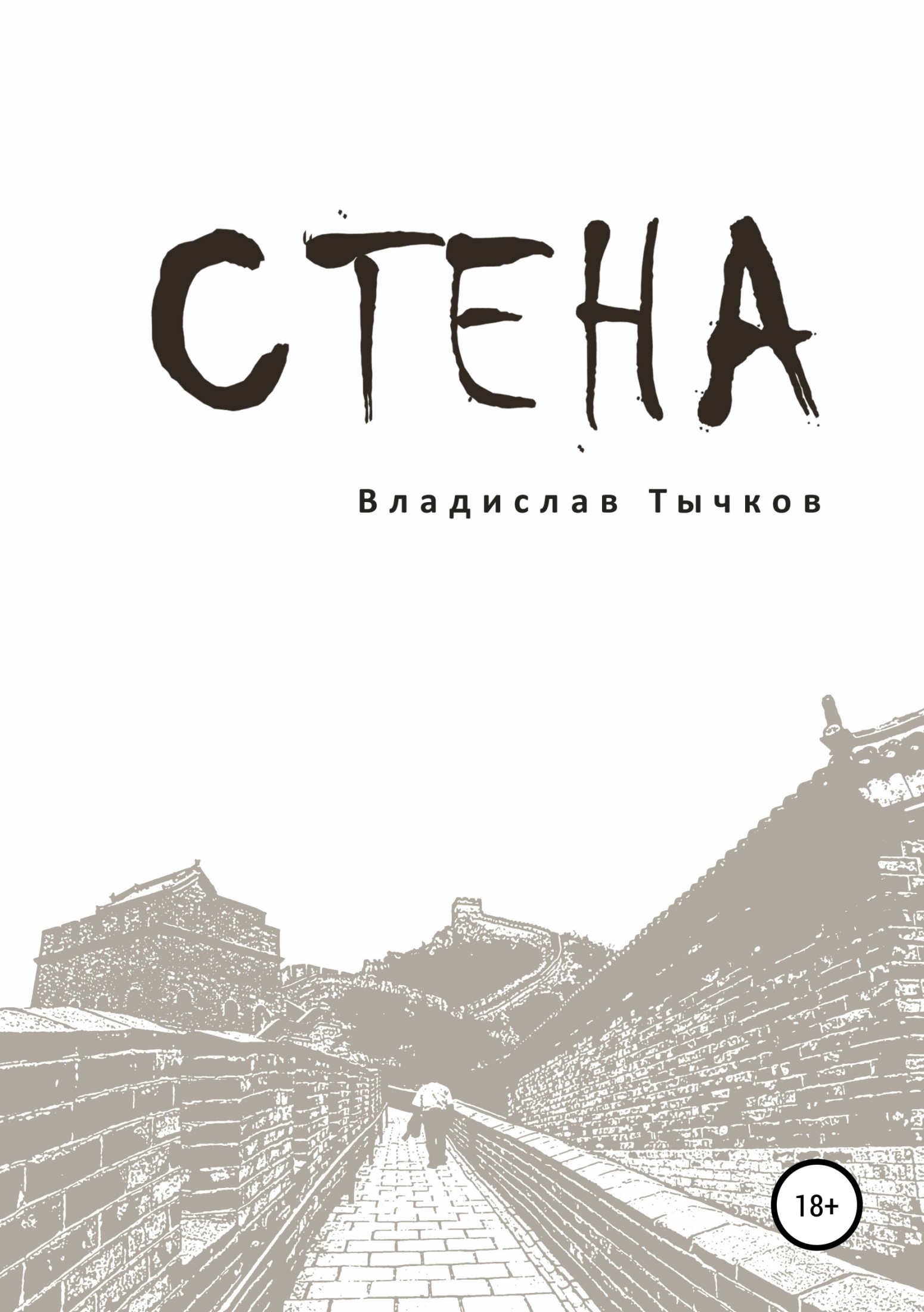 Стена - Владислав Владимирович Тычков