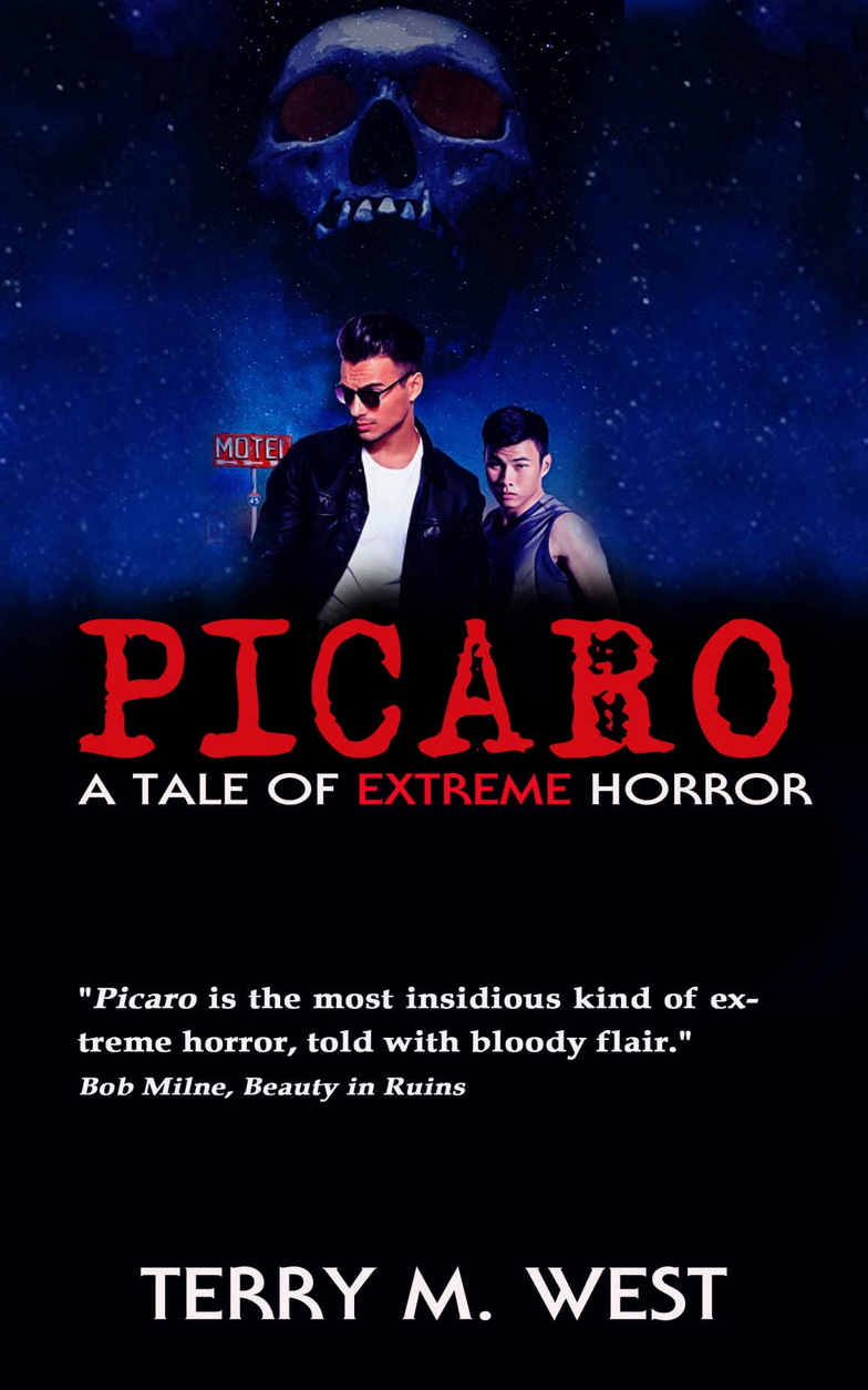 Пикаро - Терри М. Уэст