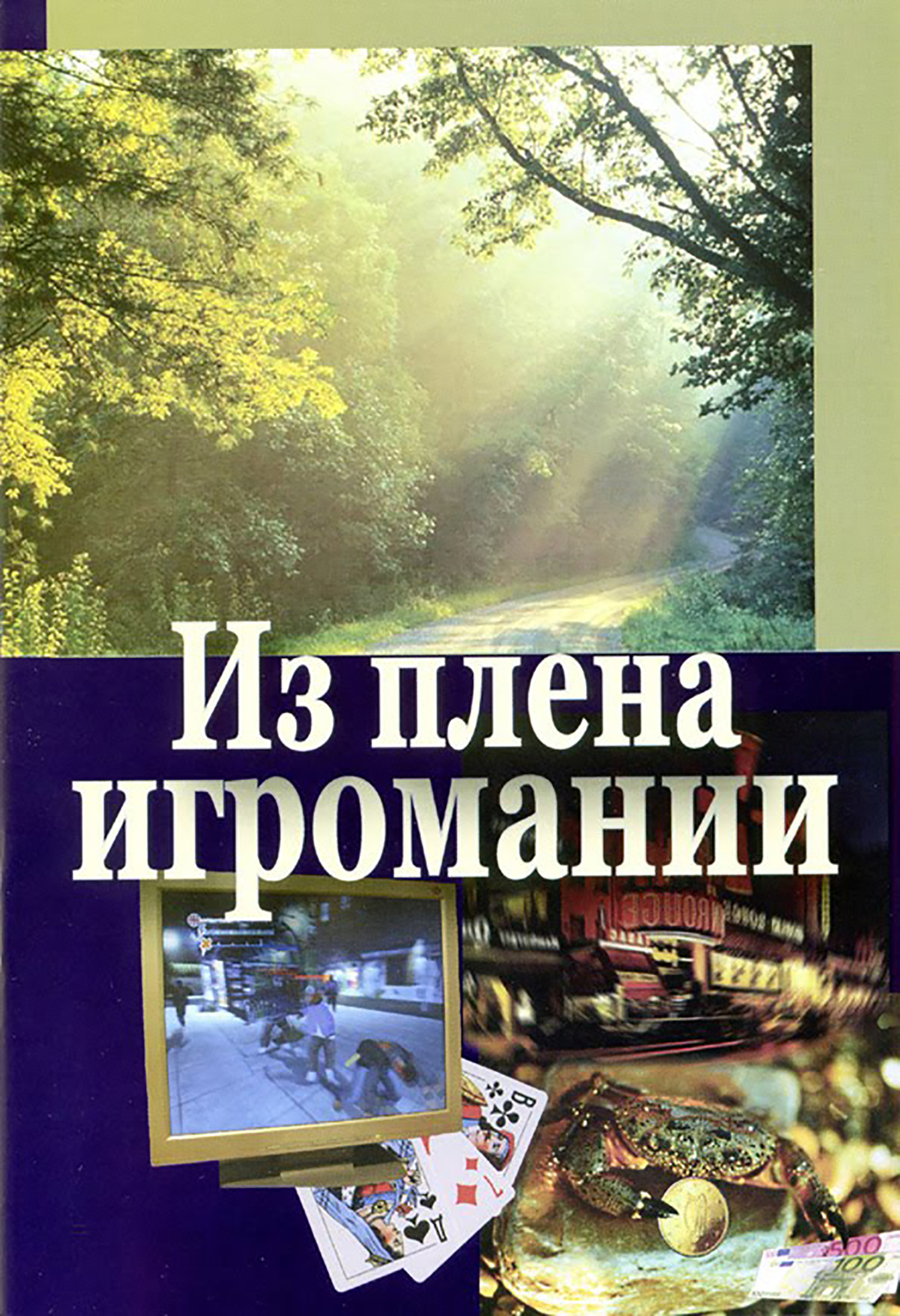 Из плена игромании - Владимир Анатольевич Цыганков