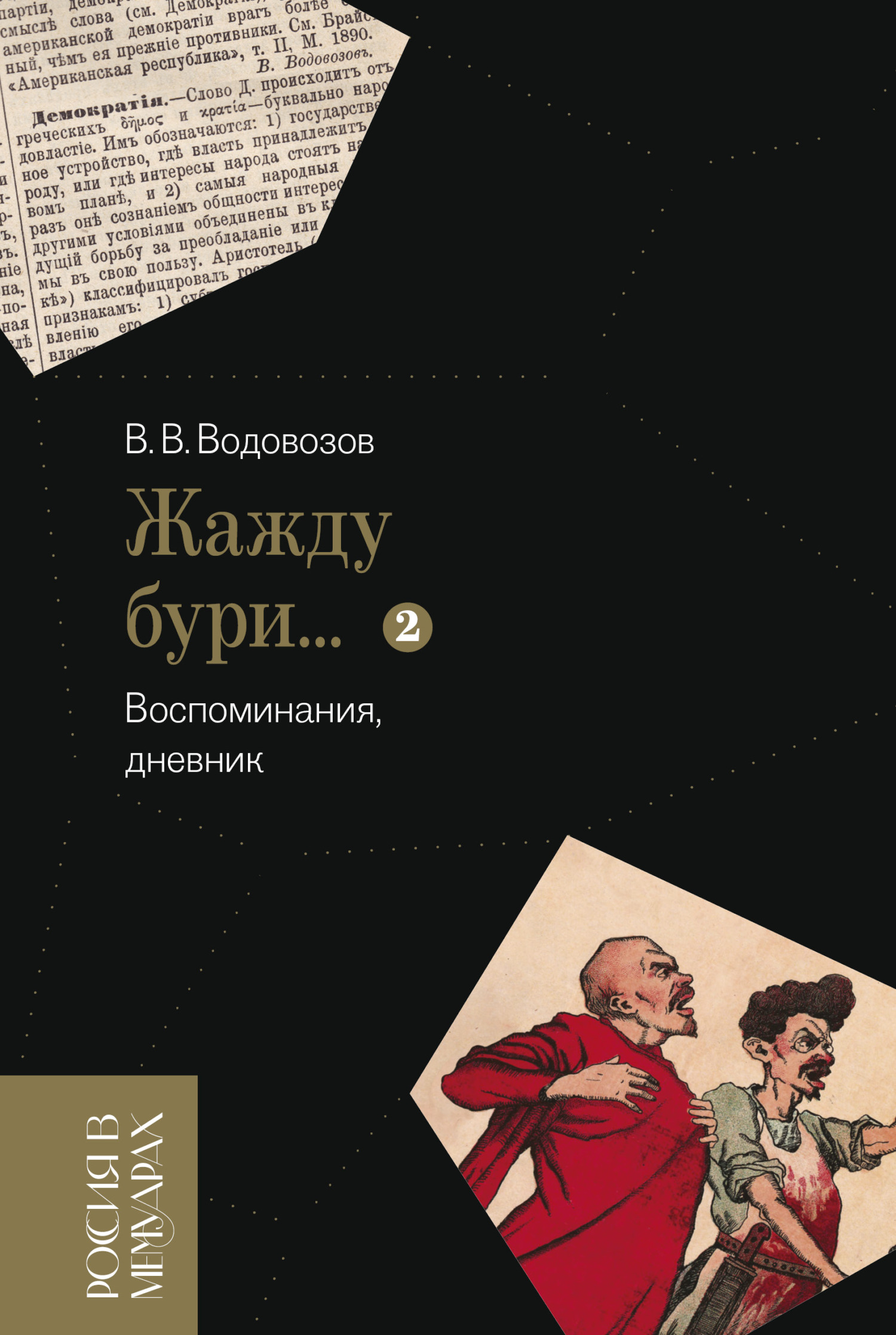 «Жажду бури…» Воспоминания, дневник. Том 2 - Василий Васильевич Водовозов