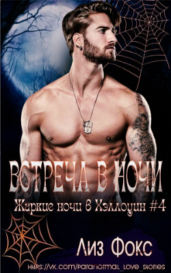 Встреча в ночи (ЛП) - Фокс Лиз