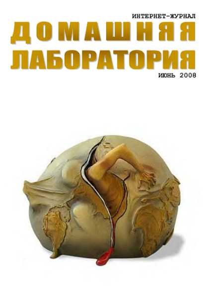 Интернет-журнал "Домашняя лаборатория", 2008 №6 - Журнал «Домашняя лаборатория»