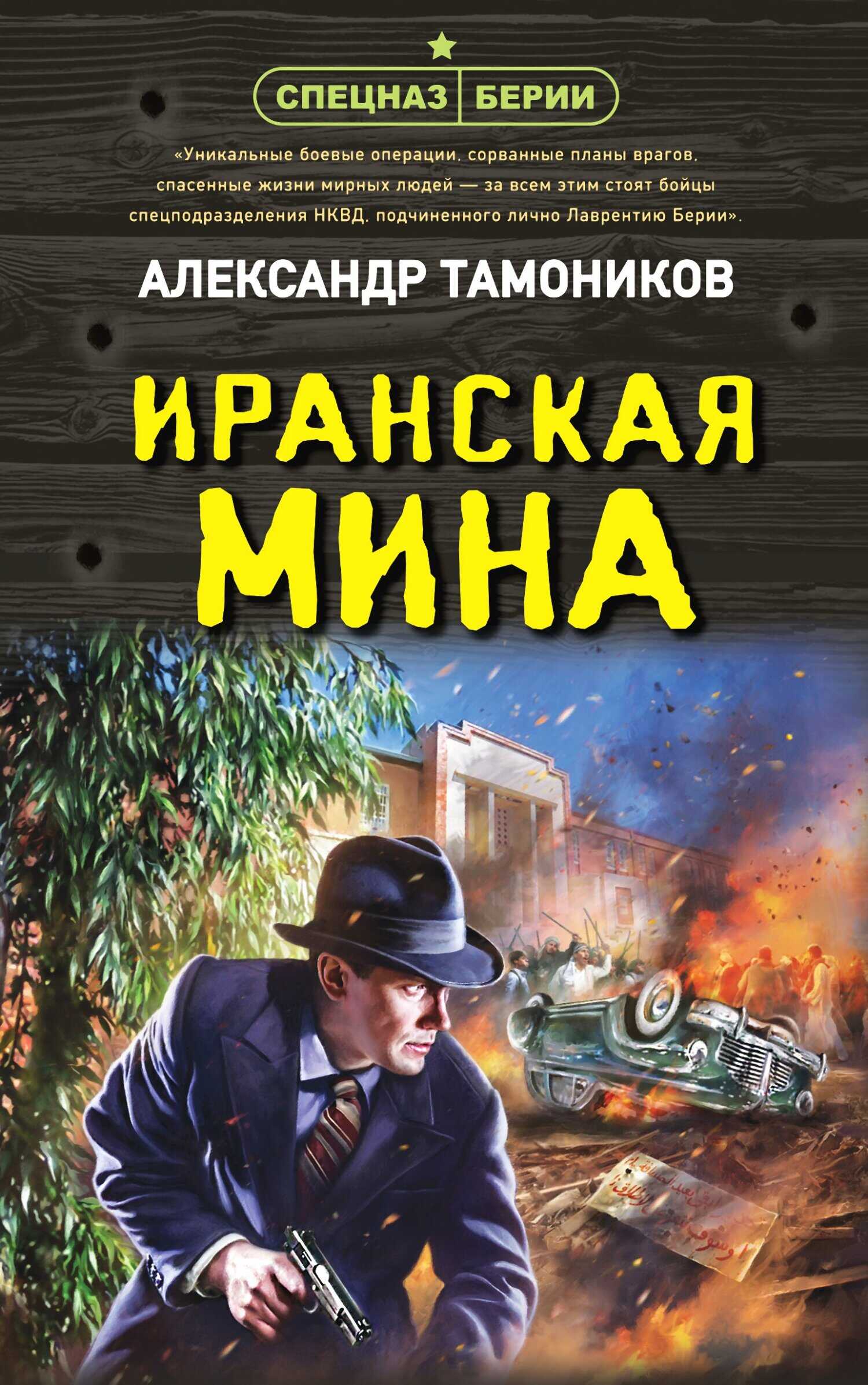 Иранская мина - Александр Александрович Тамоников