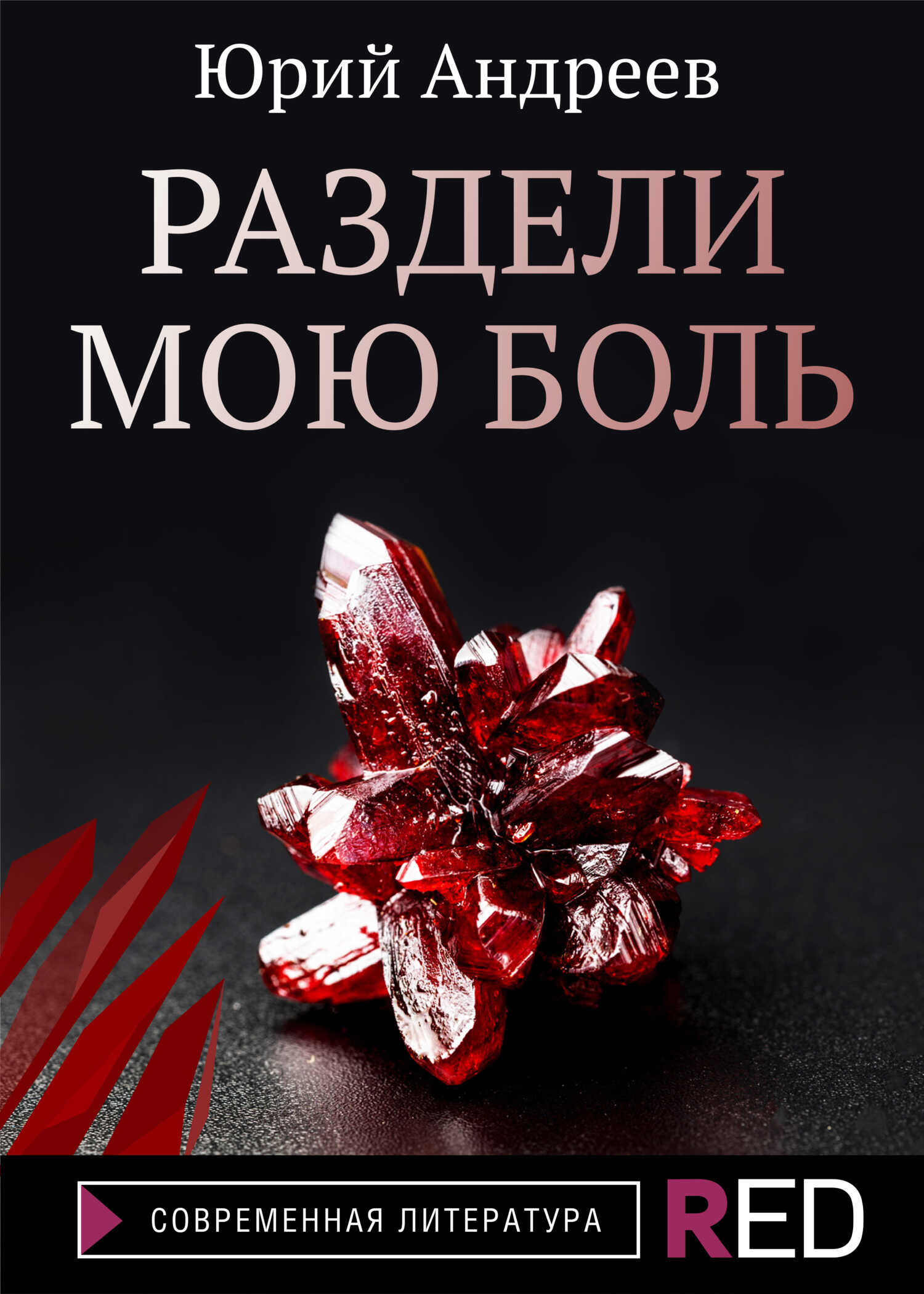 Раздели мою боль - Юрий Борисович Андреев