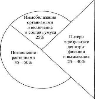 Белорусские мифы - Елена Левкиевская