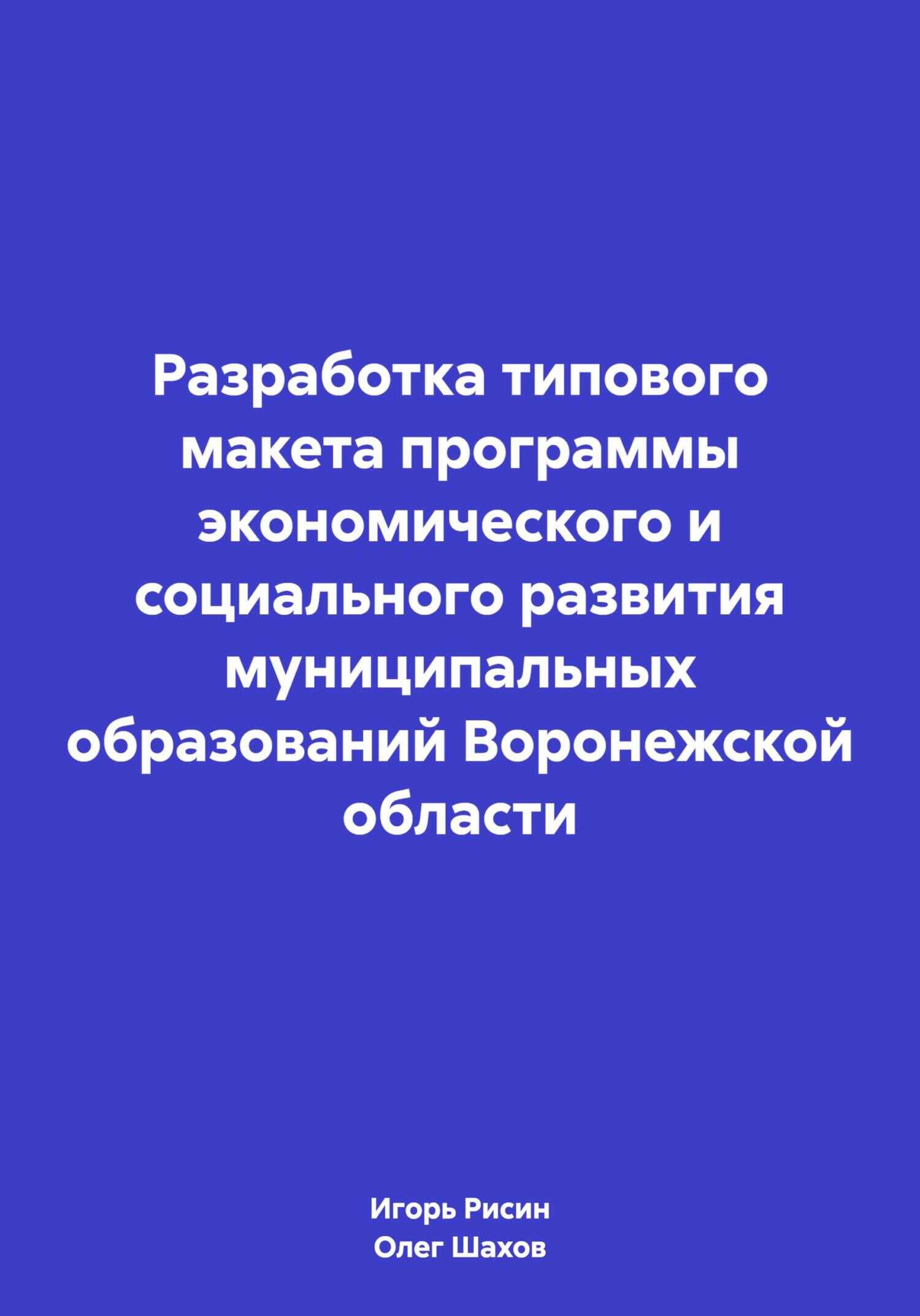 Разработка типового макета программы экономического и социального развития муниципальных образований Воронежской области - Игорь Ефимович Рисин