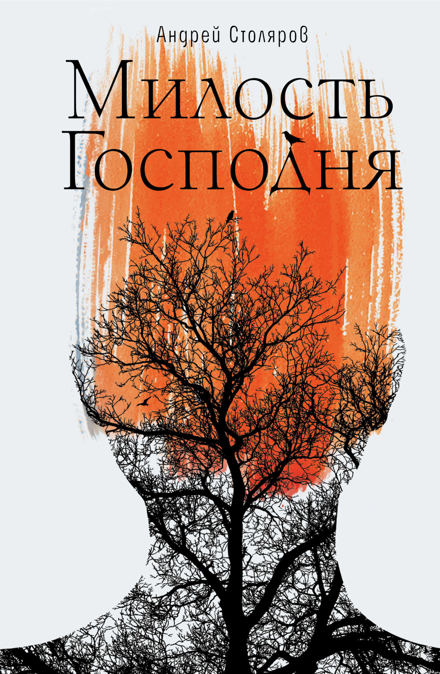 Милость Господня - Андрей Михайлович Столяров