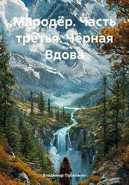 Мародер. Часть третья. Черная Вдова - Владимир Геннадьевич Поселягин