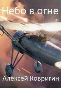 Небо в огне - Алексей Ковригин