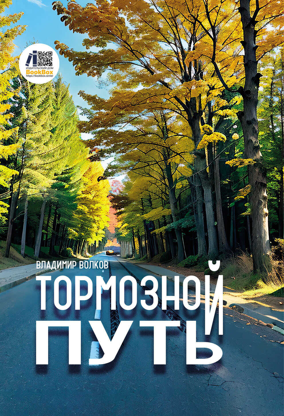 Тормозной путь - Владимир Волков