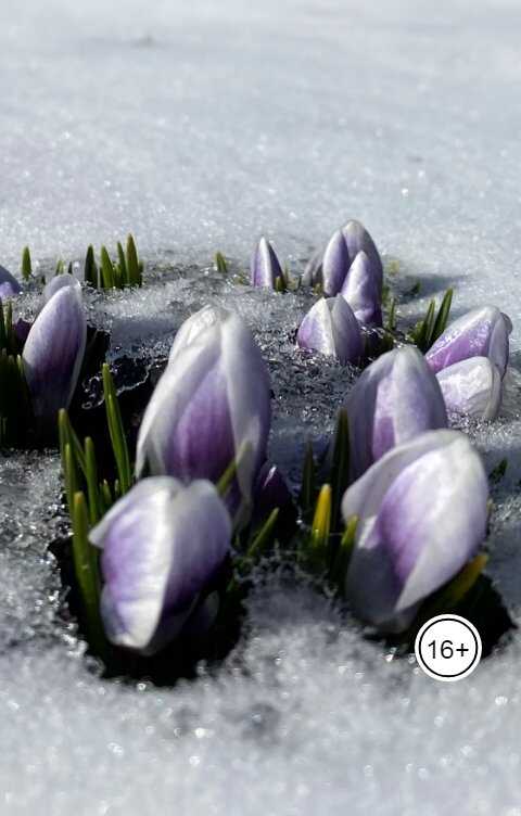 Русский романс - Наталья Гончарова