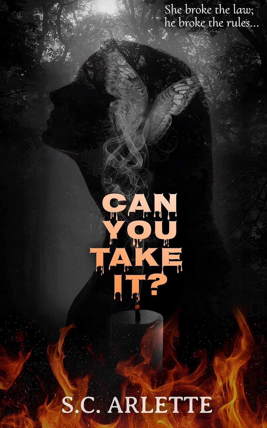 Ты сможешь это выдержать? - С. К. Арлетт