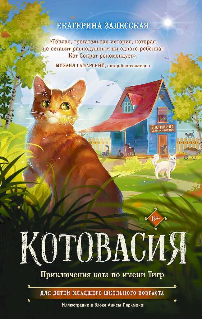 Котовасия. Приключения кота по имени Тигр - Екатерина Васильевна Залесская