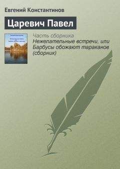 Евгений Константинов - Царевич Павел