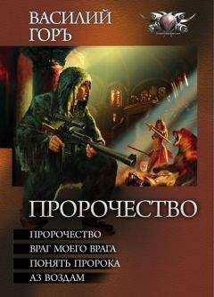 Василий Горъ - Пророчество: Пророчество. Враг моего врага. Понять пророка. Аз воздам.